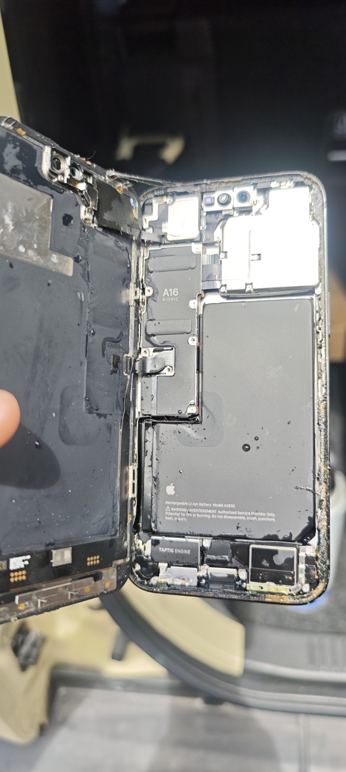 iPhone mojado abierto para tratamiento profesional